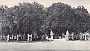 Prato della Valle (si potrebbe chiamare anche bosco della Valle) in una cartolina dei primi del 900 (Daniele Zorzi)